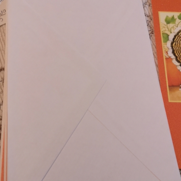 Set of 11 Turkey Thanksgiving Cards - Picture 5 of 6